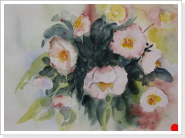 Islandmohn - verkauft Islandmohn - verkauft