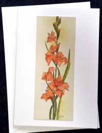 Gladiole